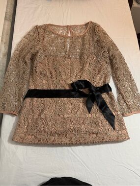 Adrianna Papell Blush Pink Lace Top with Black Satin Belt